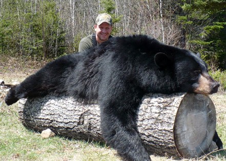 Chasse  lours / Pourvoirie des Bouleaux Blancs